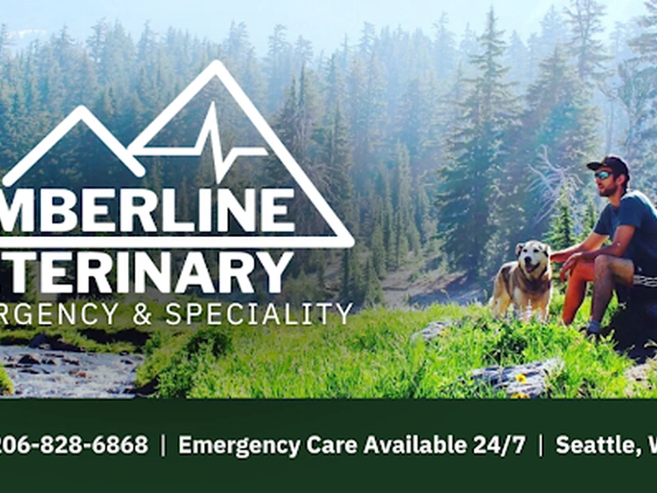 Timberline Vet Emergency & Specialty, Seattle