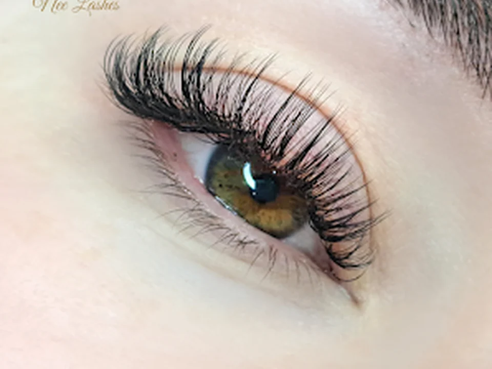 Nee Lashes, Seattle