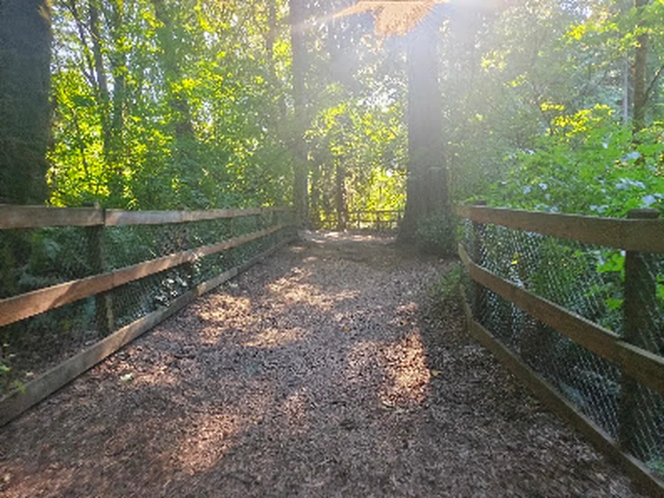Edith Moulton Off Leash Area, Seattle