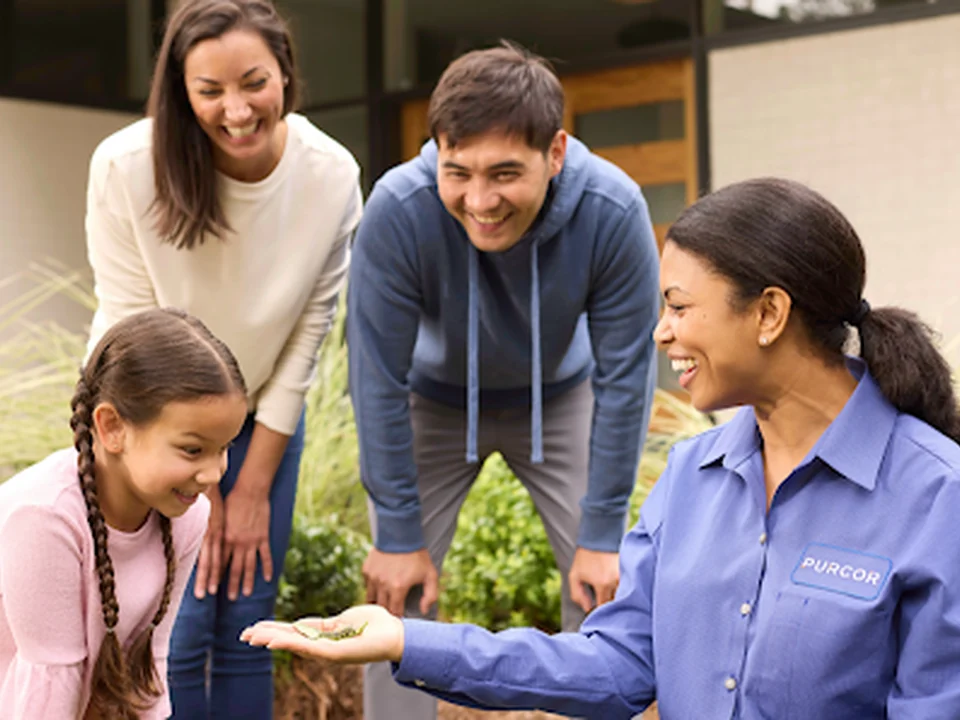 PURCOR Pest Solutions, Seattle