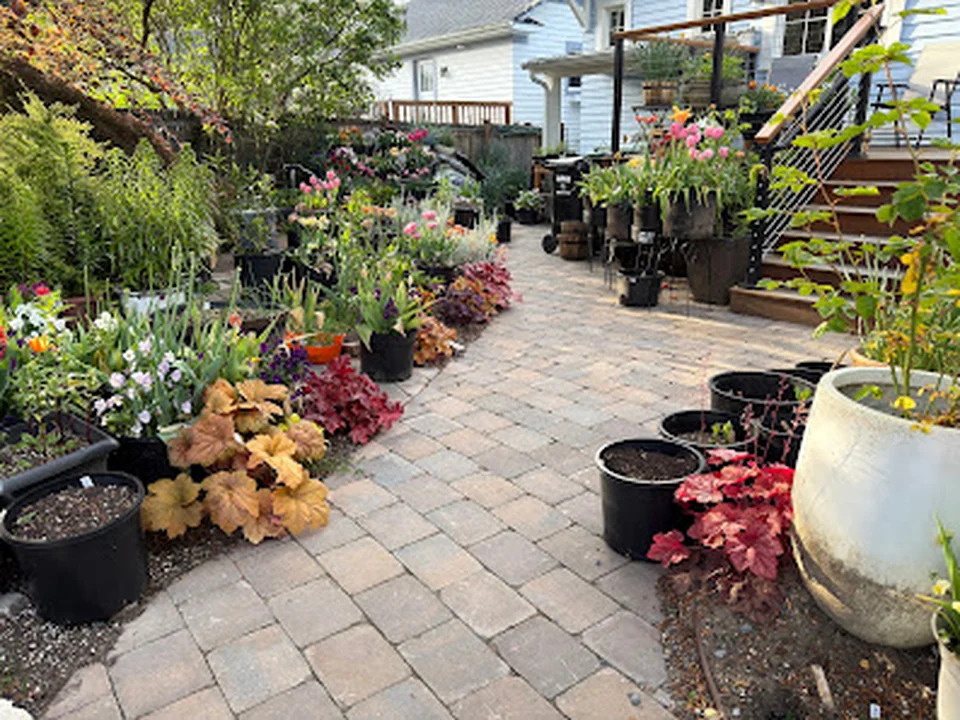 Green Garden Landscaping, Seattle