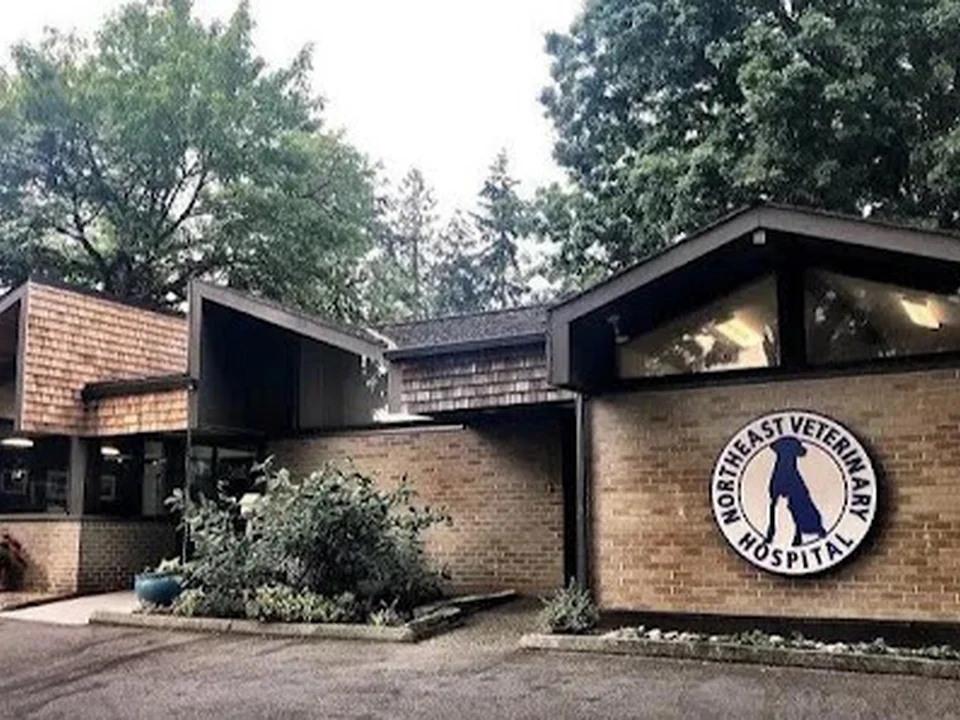 Northeast Veterinary Hospital, Seattle