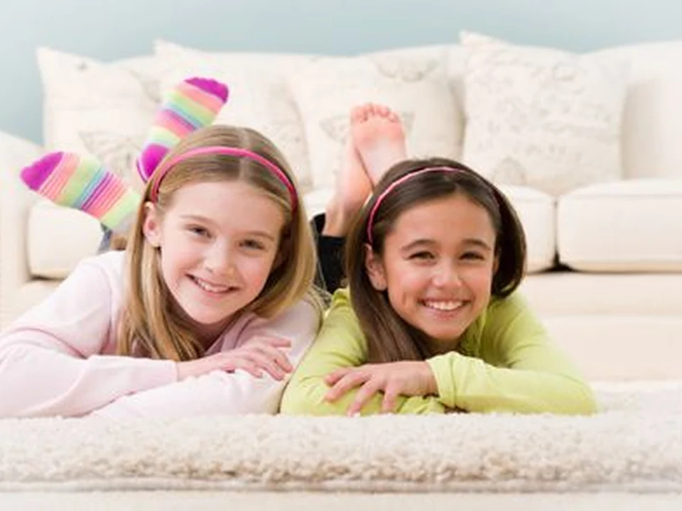 Five Star Chem-Dry Upholstery & Carpet Cleaning, Water Damage | Bothell, Seattle