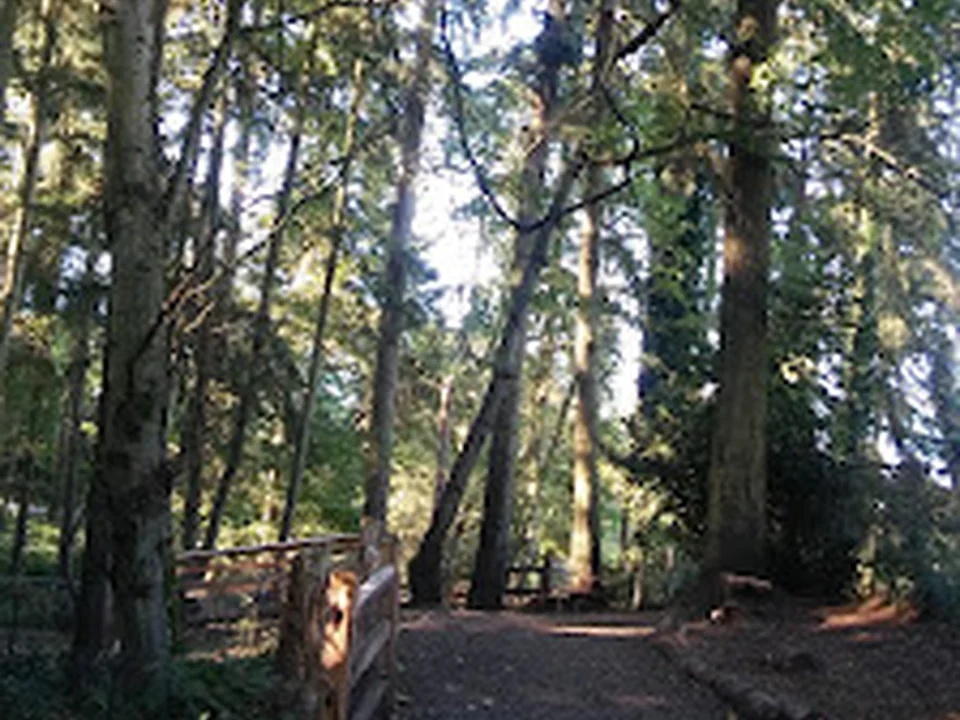 Northacres Off-Leash Dog Area, Seattle