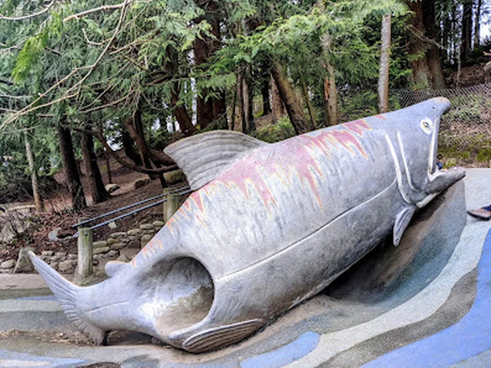 Salmon Slide - Carkeek Park Playground, Seattle