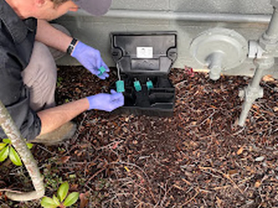 Cascade Pest Control, Seattle