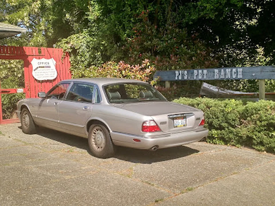 Pj's Pet Ranch, Seattle