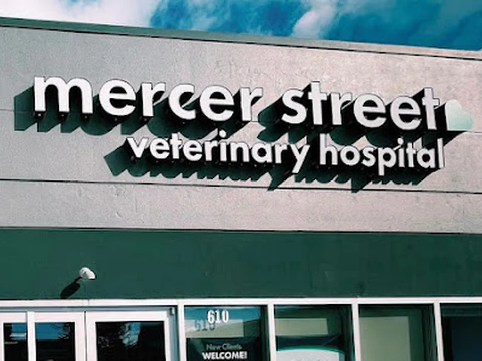 Mercer Street Veterinary Hospital, Seattle