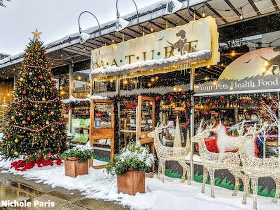 Next-To-Nature Pet Markets, Seattle