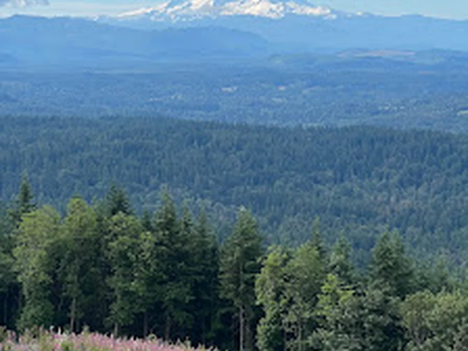 Poo Poo Point, Seattle