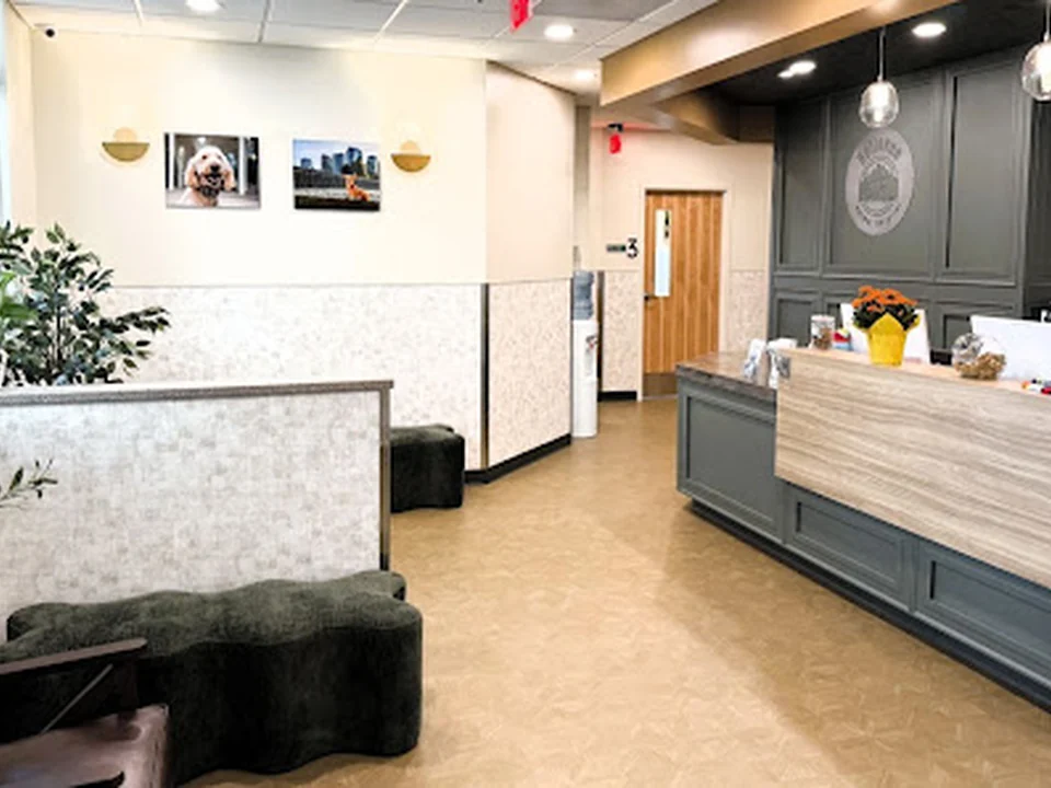 Bellevue Animal Hospital, Seattle
