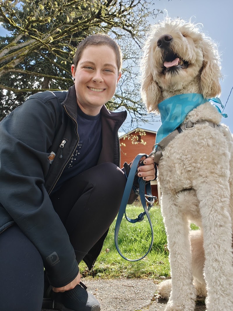 Consistent Caring Dog Walking and Pet Sitting, Seattle
