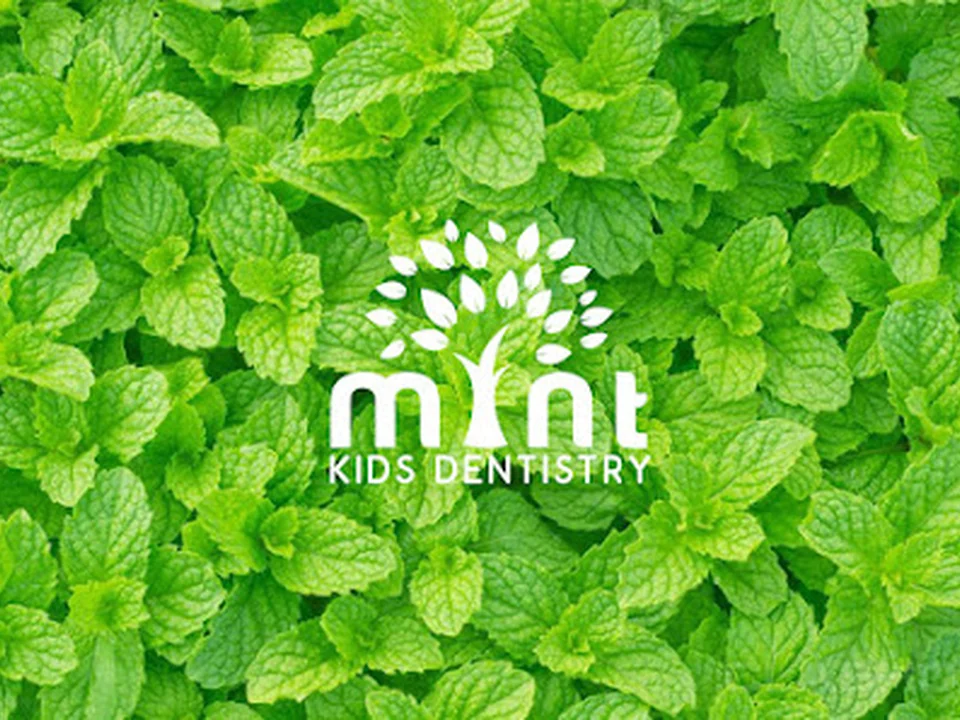 Mint Kids Dentistry, Seattle