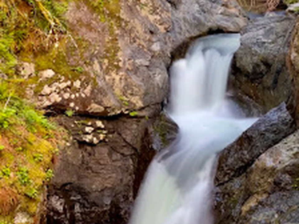 Twin Falls Natural Area, Seattle