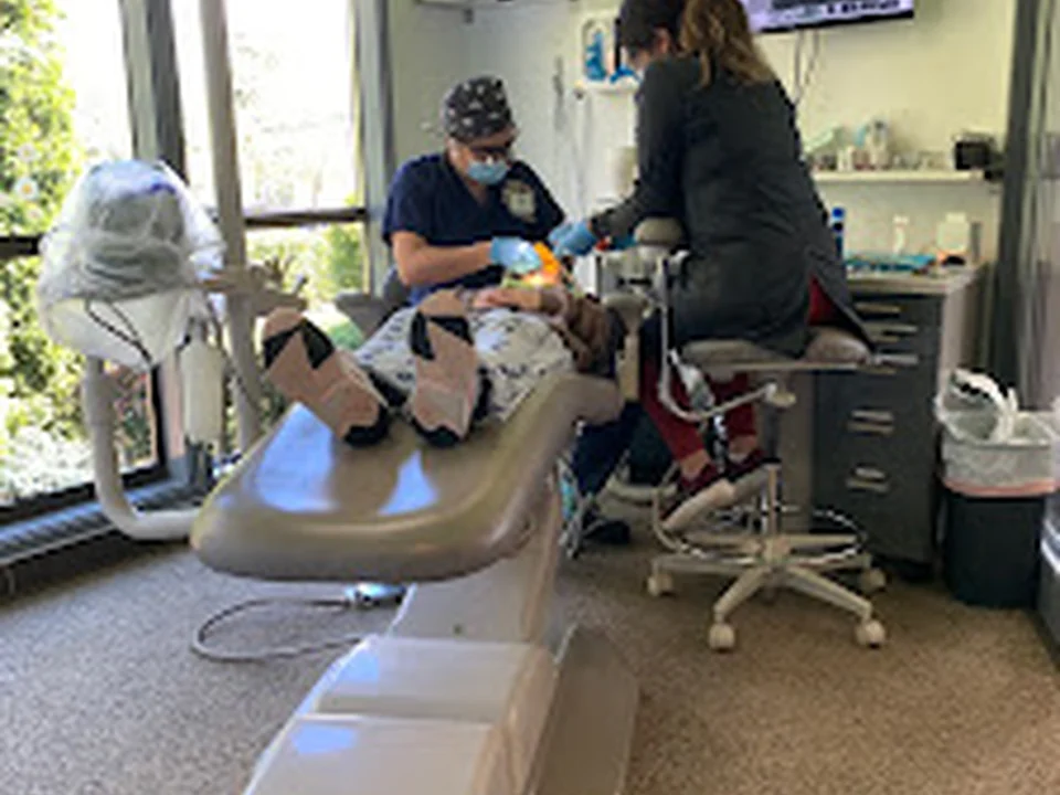 Alderwood Children's Dentistry, Seattle