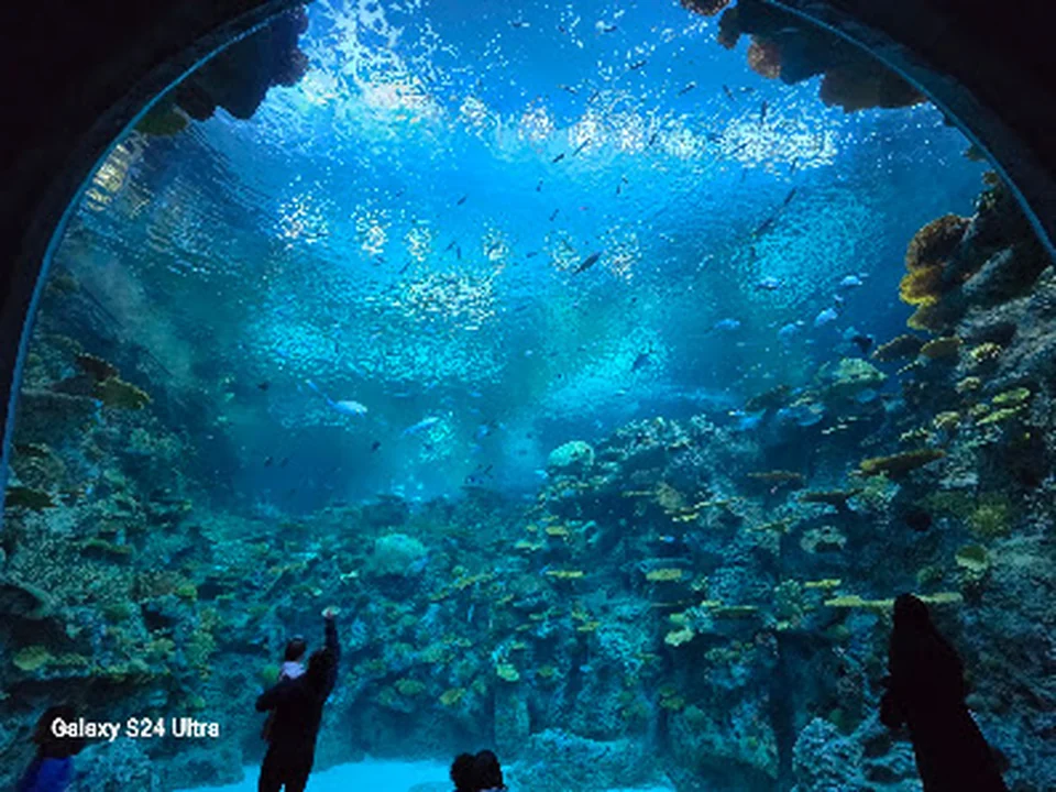 Seattle Aquarium Ocean Pavilion