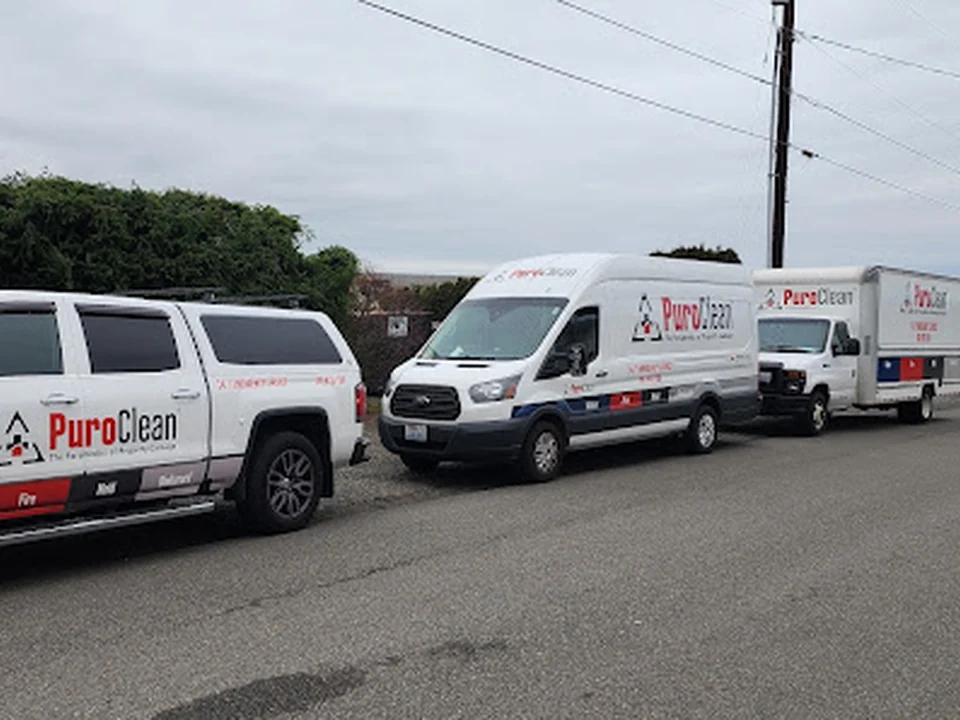 PuroClean of Marysville, Seattle